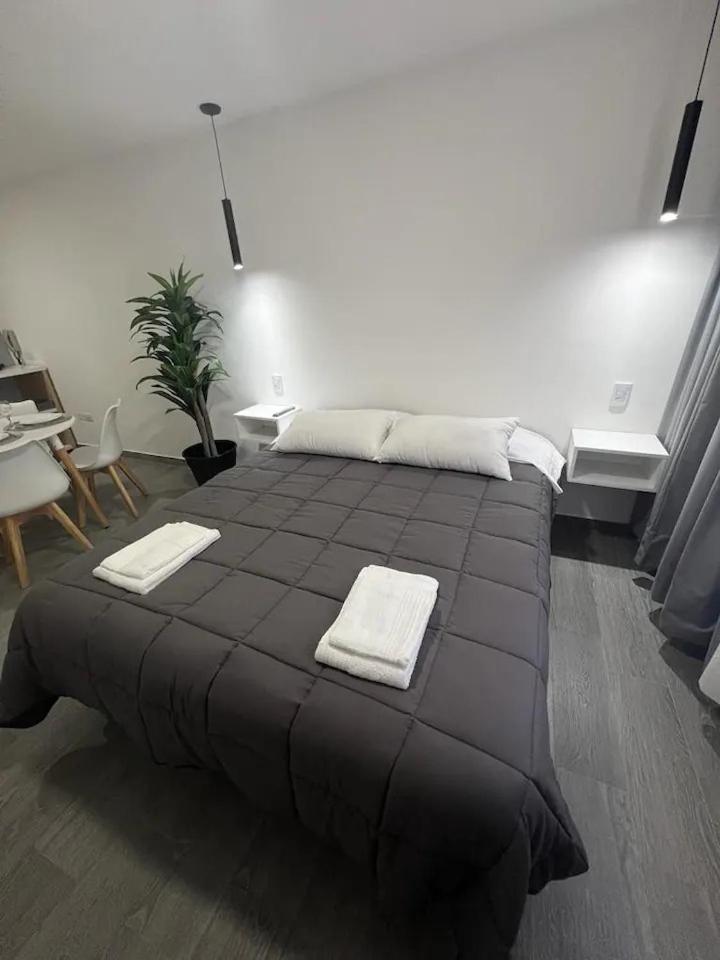 Departamento Luminoso A Estrenar En Apartamento Mendoza